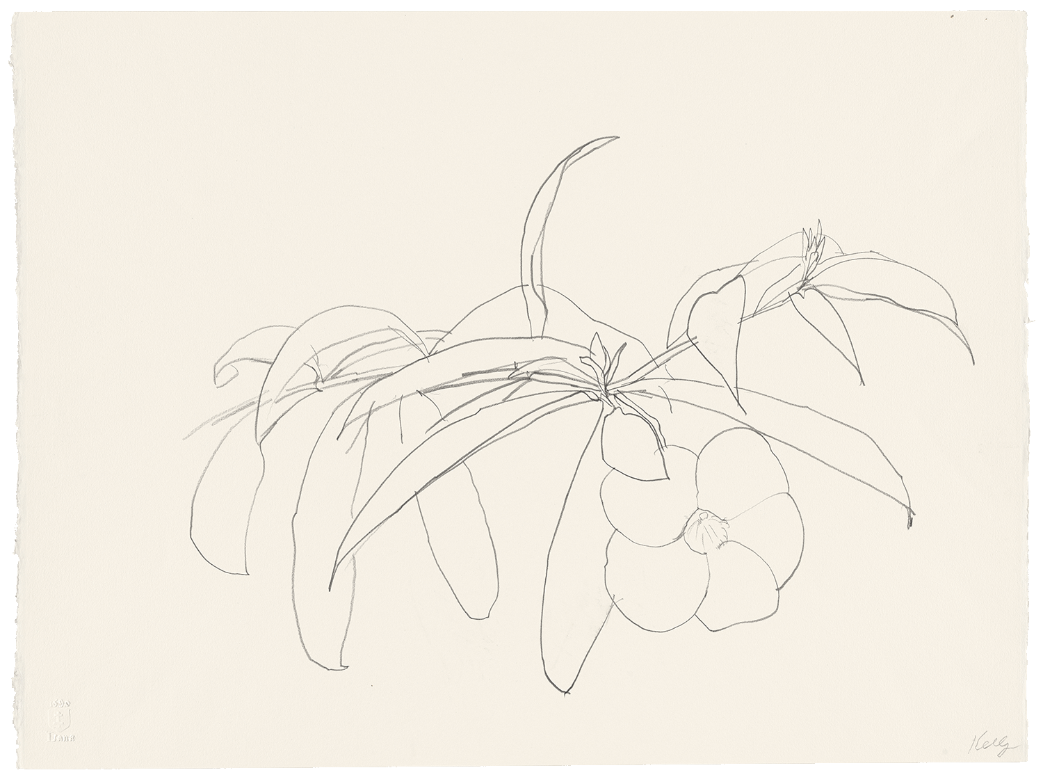Chapter 4. the Rise of Ellsworth Kelly